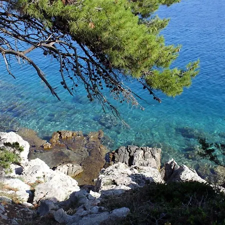 Double Room Bozava 8100a Gostinjska kuća Bozava