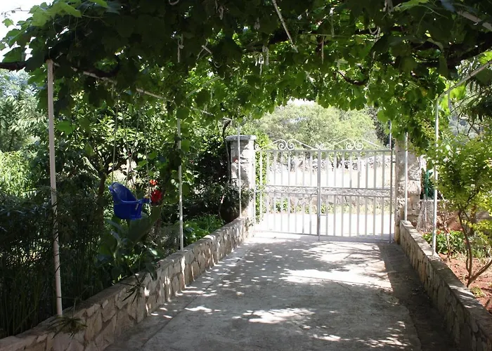 Double 8100a Πανσιόν Božava